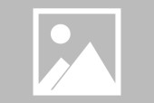 九游APP-西亚卡姆官方宣布出色防守新规，篮网引发争议！赛场气氛高涨的简单介绍